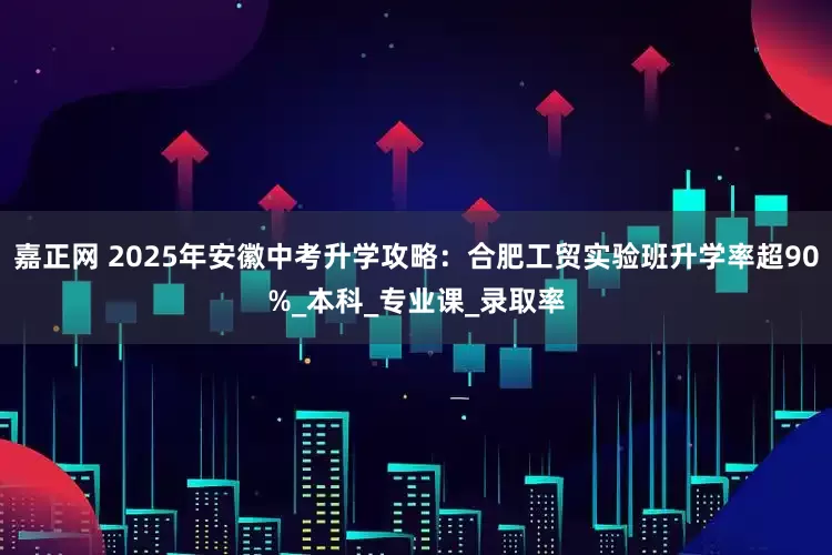 嘉正网 2025年安徽中考升学攻略：合肥工贸实验班升学率超90%_本科_专业课_录取率