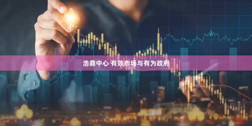 浩鼎中心 有效市场与有为政府