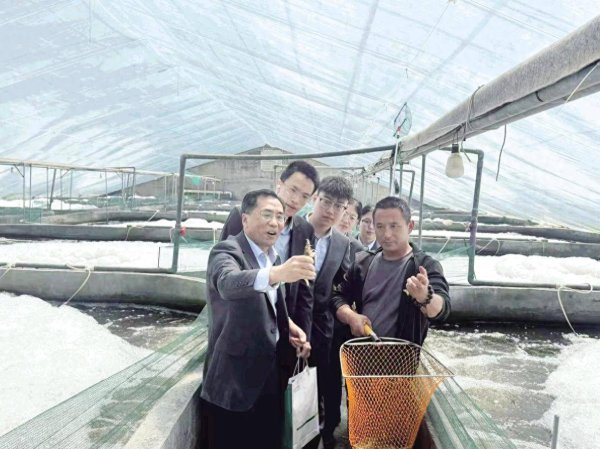 股天下 青蓝赓续润沃土 “老农金”精神传薪火