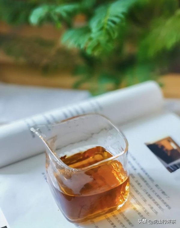 恩卓中盈 喝了这么多年的茶，这六种茶最香