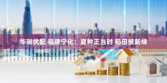华瑞优配 福建宁化：夏种正当时 稻田披新绿